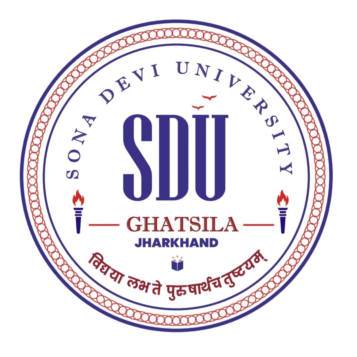 Partner university logo